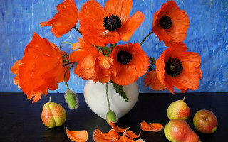 Orange flowers apples still life - a blue wall free wallpaper