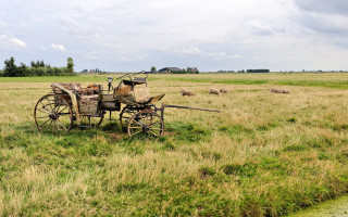 Wagon field sheep barn ecological - sheep free wallpaper
