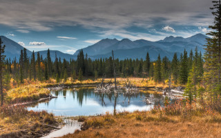 Lake mountains trees clouds autumn 3 - tree and mountains free wallpaper for desktop