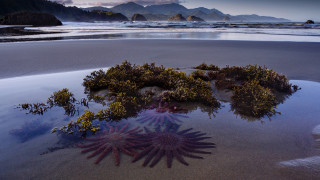 Sea stars beach mountains cloudy - andy goldsworthy free wallpaper