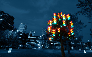 Traffic light tree city park - furaffinity free wallpaper
