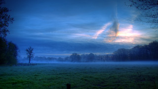 Fenced field trees clouds mist - caspar david friedrich free wallpaper for desktop