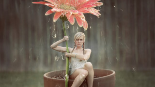 Woman flower rain sitting photorealistic - a pot free wallpaper