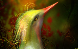 Bird red yellow green christmas - a red beak free wallpaper