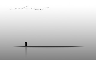 Lone person water birds minimalist - the middle of a body free wallpaper