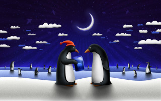 Penguins snow ice crescent night - two penguin free wallpaper