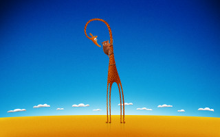 Giraffe longneck longtail string desert - a giraffe free wallpaper