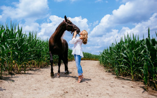 Woman petting horse cornfield outdoors - evelyn abelson free wallpaper