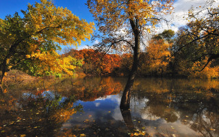 Lake trees autumn leaves sky - hudson river school free wallpaper