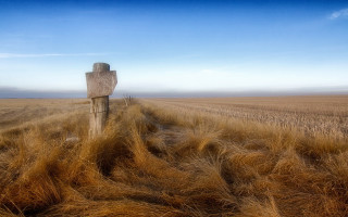 Wooden sign wheat field blue - a few cloud free wallpaper for desktop