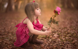 Little girl pink dress rose 2 - anne geddes free wallpaper