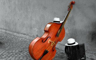Cello hat street corner wall - a drink free wallpaper