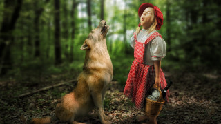 Woman red dress dog forest - caspar wolf free wallpaper for desktop