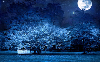 Bench park full moon stars - a bench in the foreground free wallpaper