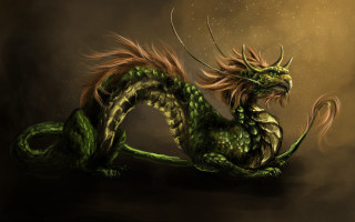 Green dragon curled tail closed - its tail free wallpaper
