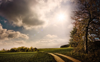 Dirt road green field cloudy 10 - the cloud above free wallpaper