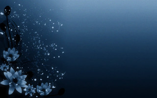 Blue flower water drops night - a few white flower free wallpaper