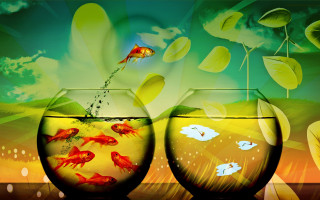 Goldfish bowl sky clouds jumping - a goldfish free wallpaper