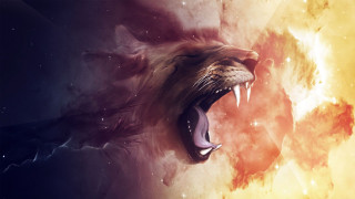 Lion roaring space stars yellow - its tooth free wallpaper