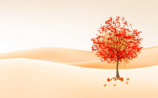 Red leaves desert tree sunset - sand free wallpaper
