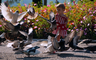Little girl birds flowers park - a sidewalk free wallpaper