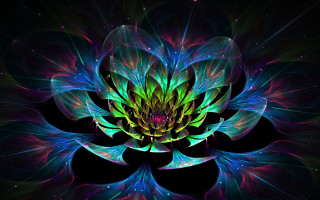 Psychedelic flower blue center fractals - a colorful flower free wallpaper