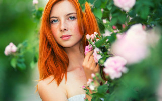 Red haired woman flower portrait - pink rose free wallpaper for desktop
