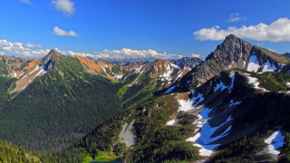 Mountain snow trees blue sky 3 - snow and trees free wallpaper