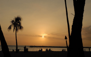 Sunset beach palm trees people - a sunset view of a beach free wallpaper