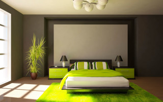 Bedroom green carpet green plant - a plant in the corner free wallpaper