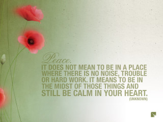 Peace quote red flowers green - peaceful free wallpaper