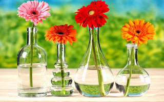 Three vases flowers table water - a green field free wallpaper