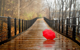 Red umbrella wooden bridge rain - a red umbrella free wallpaper