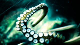Octopus ring water plants bubbles - tentacle free wallpaper