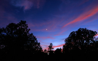Purple sky clouds trees night - night sky free wallpaper for desktop
