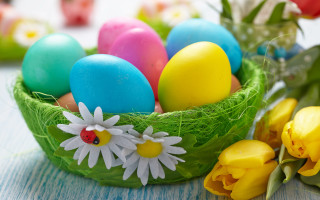 Basket flowers eggs vase tulips - egg free wallpaper