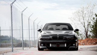 Black car fence cow 3d - a cow free wallpaper