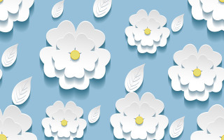 White flowers blue background yellow - white flower free wallpaper