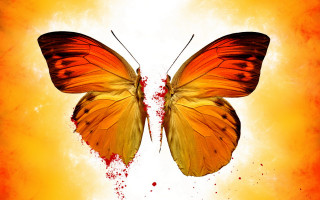 Butterfly autumn leaves fire gradient - a blood free wallpaper