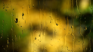 Rainy window blurry tree impressionism - free rain wallpaper