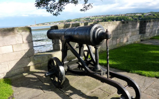 Cannon stone wall water grass - depth of field free wallpaper