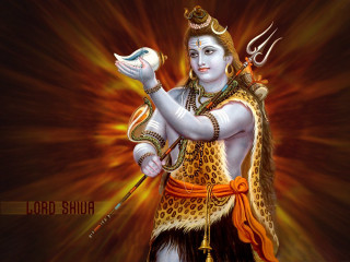 Lord bhagava holding bird sword - a bird free wallpaper