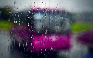 Rainy window pink green cars - daniel lieske free wallpaper