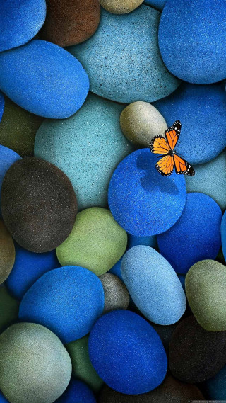Butterfly sitting rock blue green 4 - a rock free wallpaper for mobile