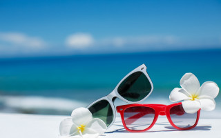 Beach sunglasses flowers blue sky - the beach next free wallpaper