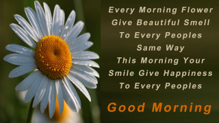 Daisy good morning quote green - good morning free wallpaper