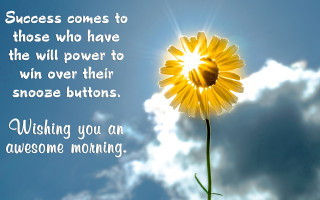 Yellow flower sky background quote - a yellow flower free wallpaper