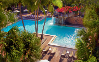 Pool palm trees waterfall slide - a pool free wallpaper