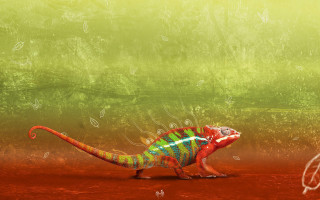 Colorful lizard red surface green - bernard accama free wallpaper