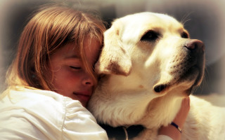 Girl hugging dog closed eyes - close free wallpaper